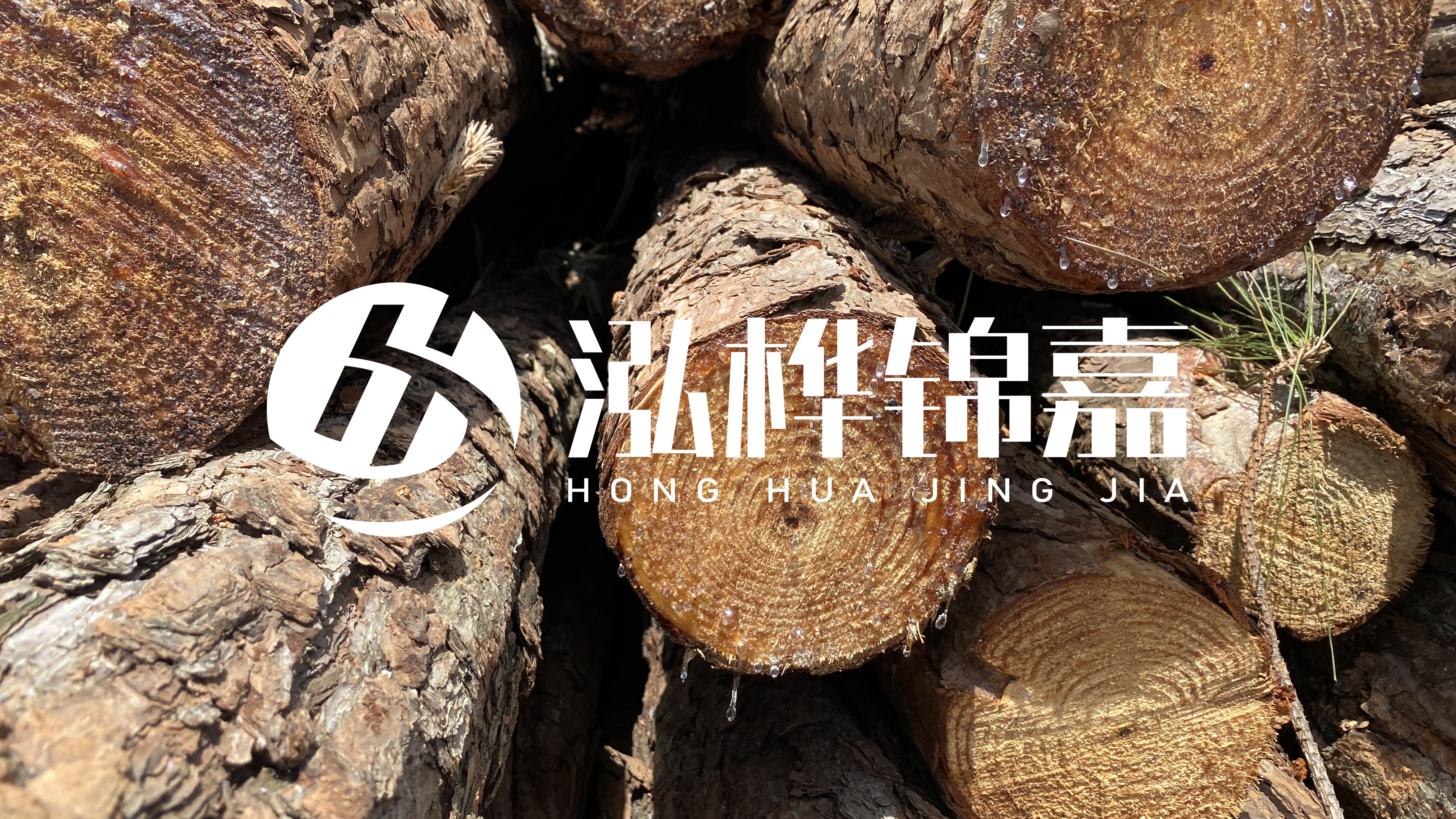 為什么要用松木樁治理河道？