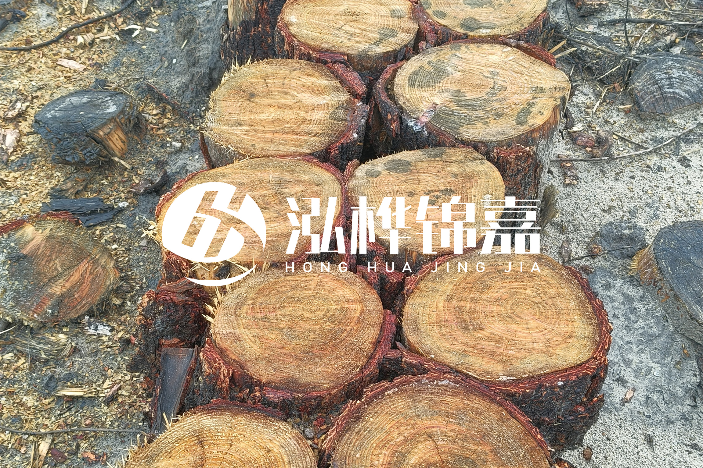 浙江臺(tái)州有清淤的公司嗎？浙江臺(tái)州有清淤施工隊(duì)嗎？
