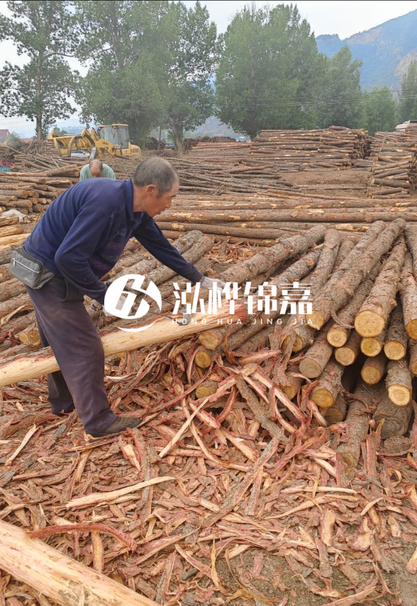 東營河道清淤專業(yè)施工隊(duì)-不同型號挖機(jī)清淤能力對比？