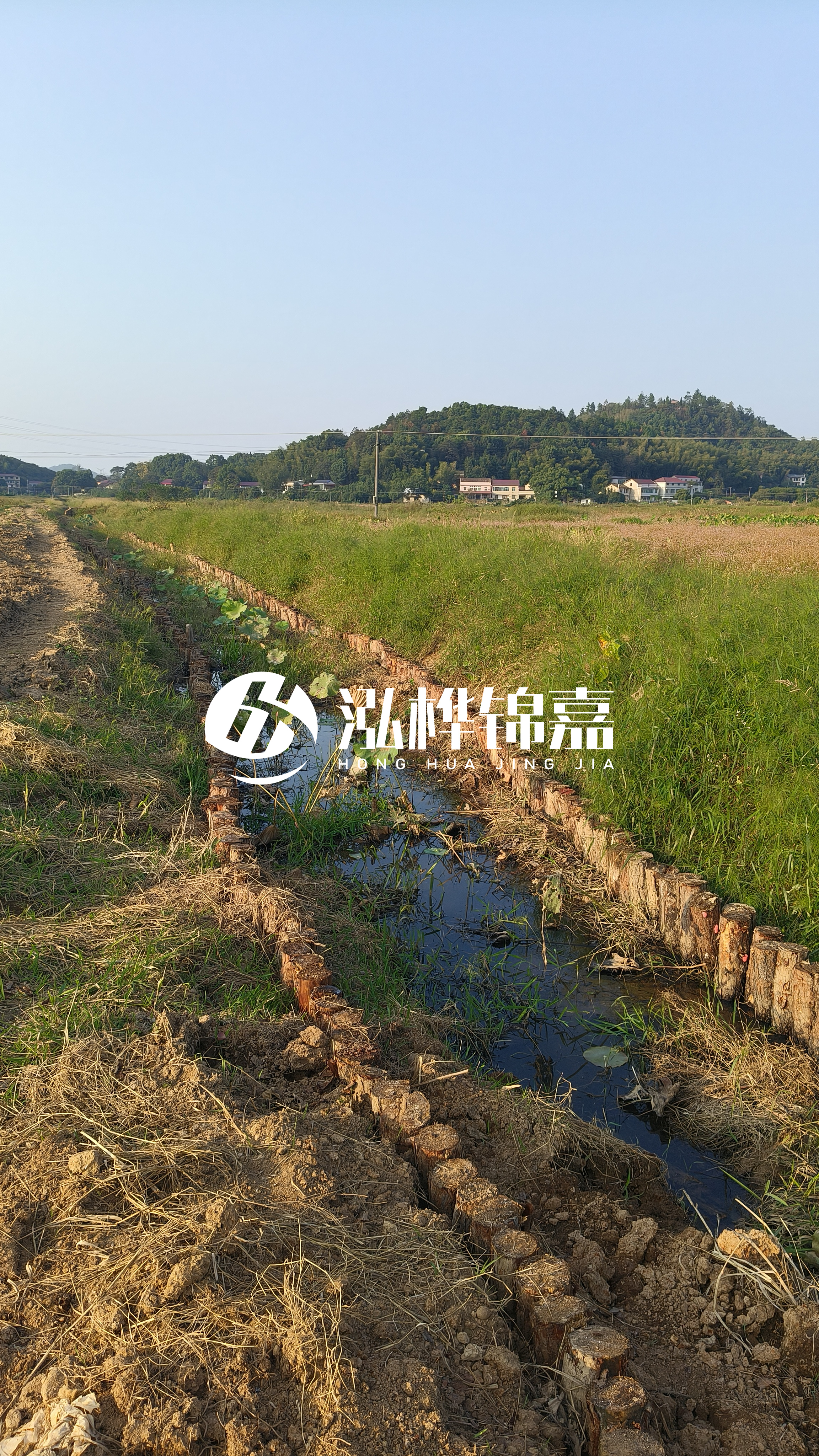 河道護坡打木樁的目的全解析：你知道幾個？