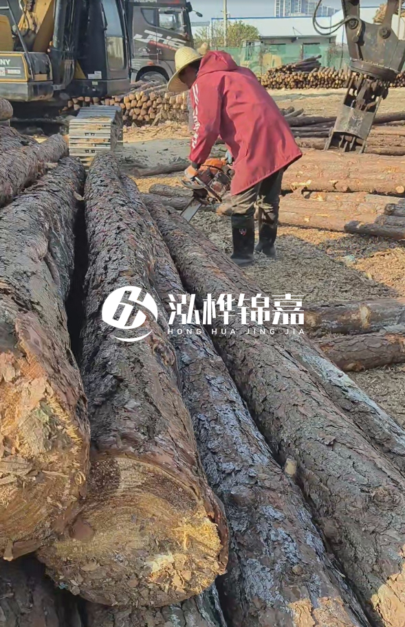 長沙打樁木批發(fā)廠家在哪里？聯(lián)系方式是什么？