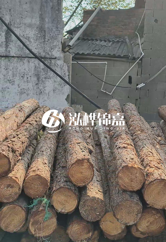 1.5米至2米長(zhǎng)松木樁價(jià)格表-10-12公分大概多少錢(qián)一根？