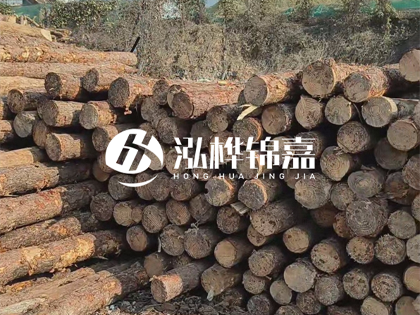落葉松木材的主要產(chǎn)地在哪里？為什么比其他松木更耐腐蝕？