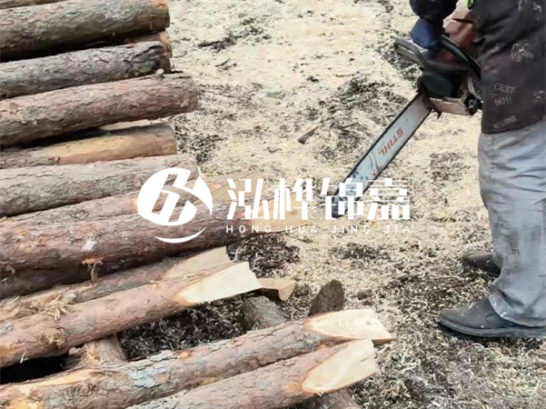 杉木樁批發(fā)廠家哪家好？產地直供渠道推薦！