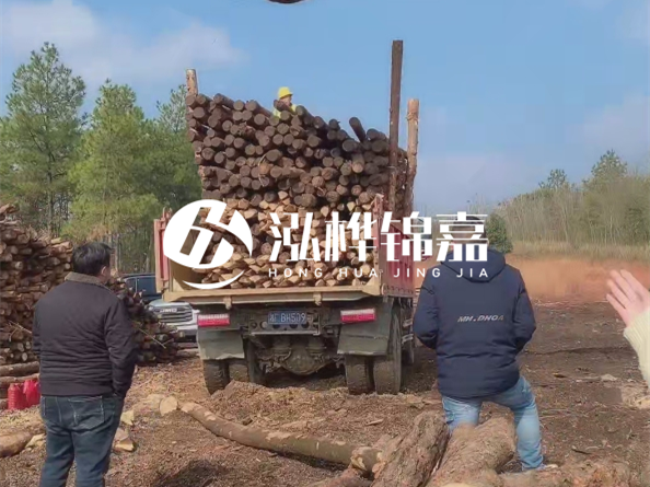 松木樁價(jià)格是按米算還是按根算？6米松木樁批發(fā)價(jià)每根多少錢？