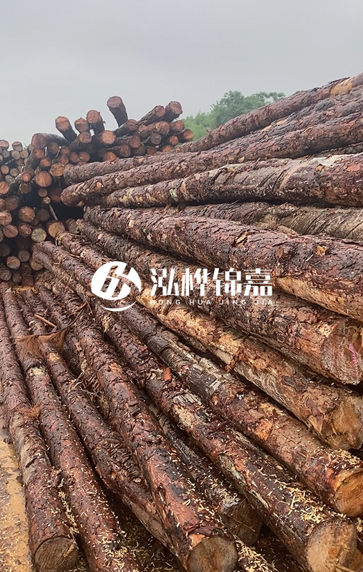 購買松木樁注意事項(xiàng)有哪些-不同直徑松木樁區(qū)別有哪些？