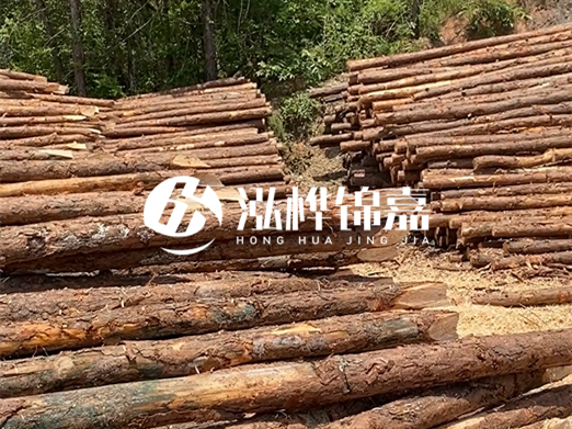 松木樁的運(yùn)輸費(fèi)用是否包含卸車費(fèi)？卸貨時需要注意哪些安全問題？