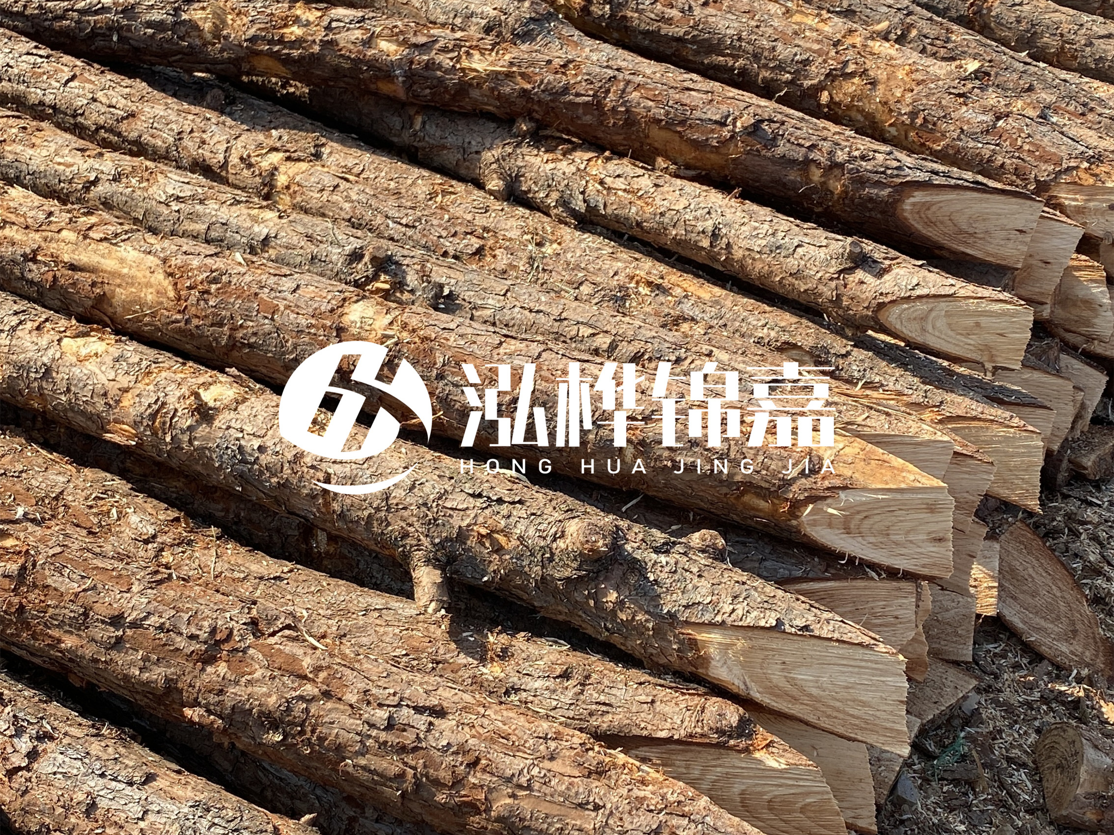 8 米超大直徑松木樁的價格是多少？帶皮和去皮松木樁價格差多少？