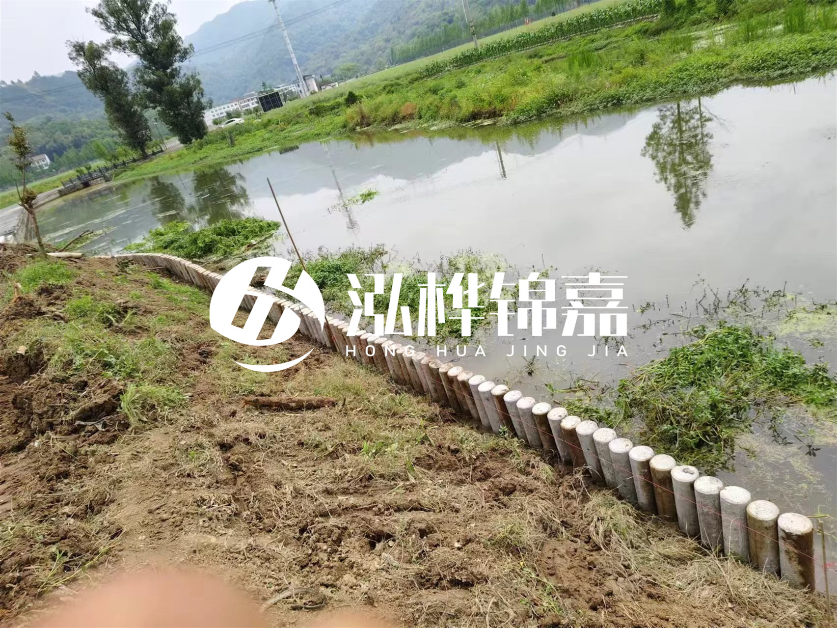松木樁加固河道與水泥樁對比如何？哪一種更加適合您？