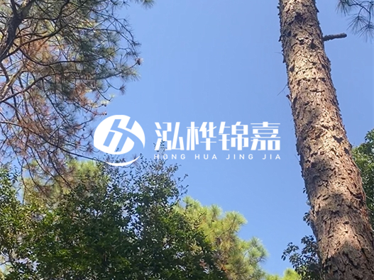 松木樁廠家泓樺錦嘉可以實(shí)地考察嗎？需要提前預(yù)約嗎？