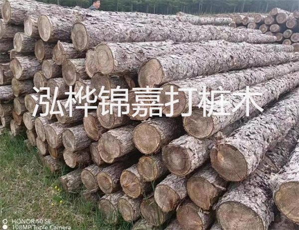 高效修補(bǔ)，保駕護(hù)航！水泥路面高強(qiáng)度修補(bǔ)料為您解決煩惱！