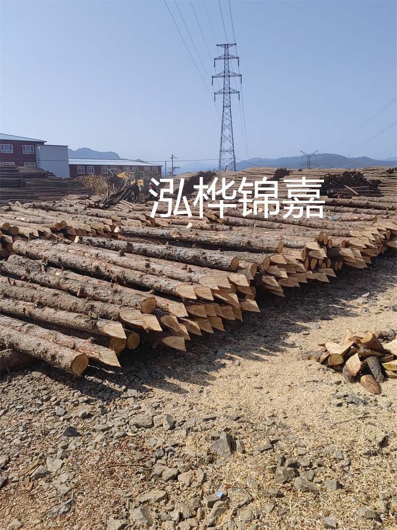 深入了解松木樁基礎施工單價，助力工程建設順利進行！
