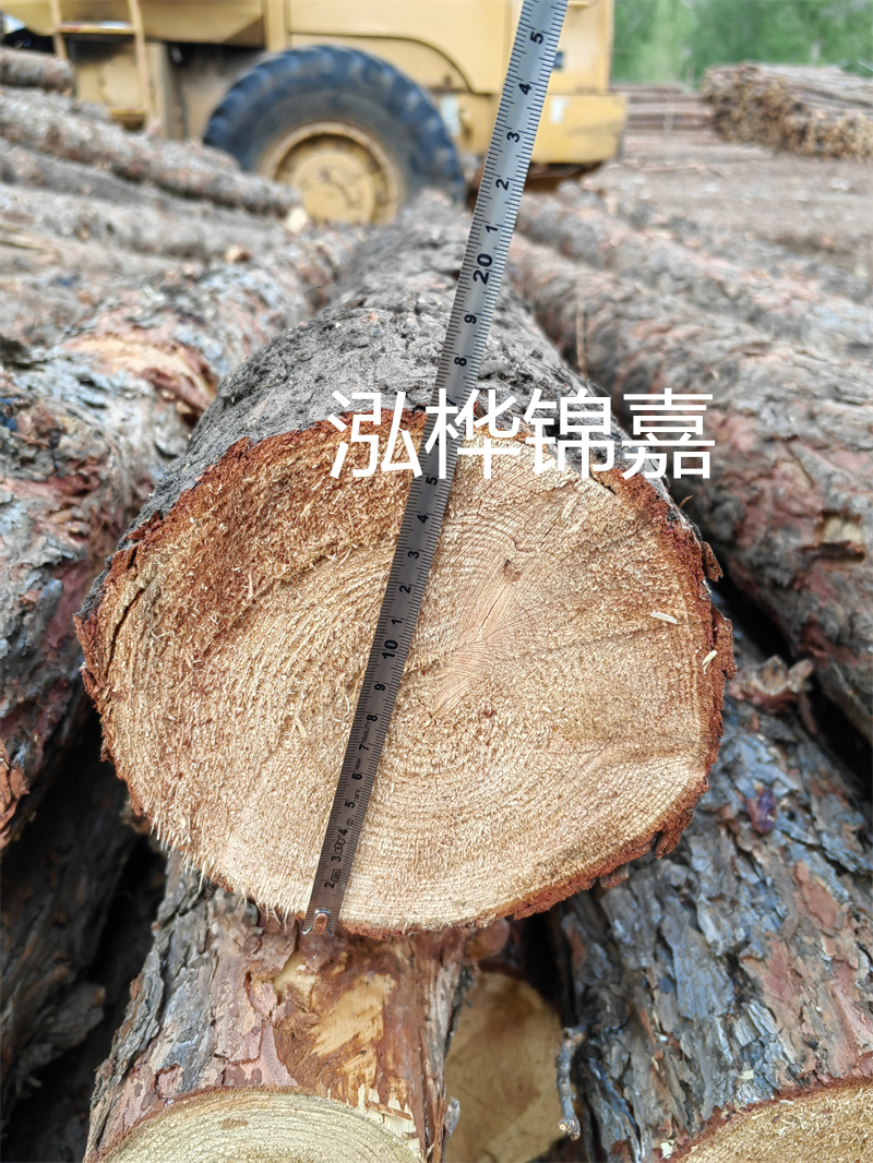 松木樁護坡施工圖片——保護環(huán)境，守護家園
